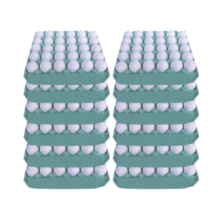 Caixa de ovos Extra Branco c/ 360 ovos e 12 cartelas
