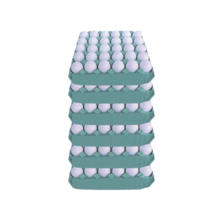 Ovos Extra Branco com 180 Ovos