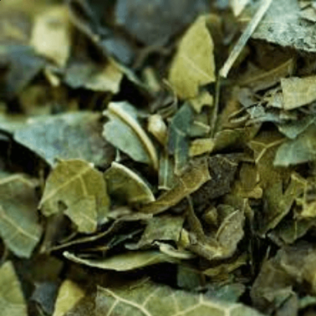 Chá Verde Folhas 100g