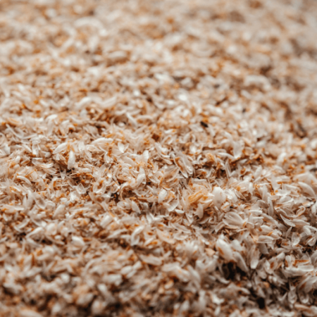 Psyllium Pacote 100g